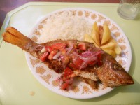 /album/fotogaleria/pescado-jpg/