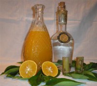 /album/fotogaleria/tardoning-jpg/